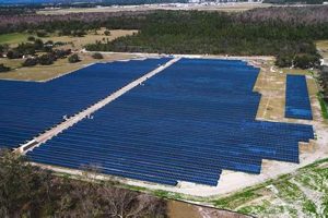 Carlyle Renewable Energy Fund: Powering a Sustainable Future Renewable Energy Solutions for a Sustainable Future | Clean & Green Power Carlyle Renewable Energy Fund: Powering a Sustainable Future | Renewable Energy Solutions for a Sustainable Future | Clean & Green Power