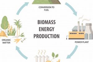 Biofuel: Is it *Truly* a Renewable Energy Source? Renewable Energy Solutions for a Sustainable Future | Clean & Green Power Biofuel: Is it *Truly* a Renewable Energy Source? | Renewable Energy Solutions for a Sustainable Future | Clean & Green Power