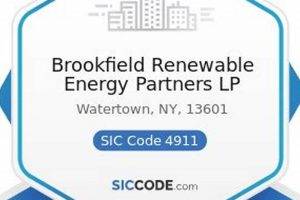 Renewable Energy SIC Codes: A Guide Renewable Energy Solutions for a Sustainable Future | Clean & Green Power Renewable Energy SIC Codes: A Guide | Renewable Energy Solutions for a Sustainable Future | Clean & Green Power