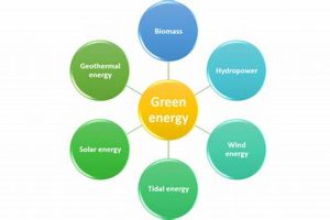 Top 5 Green Energy Types for a Sustainable Future Renewable Energy Solutions for a Sustainable Future | Clean & Green Power Top 5 Green Energy Types for a Sustainable Future | Renewable Energy Solutions for a Sustainable Future | Clean & Green Power