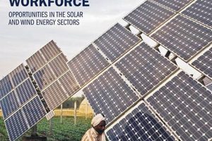 Top Renewable Energy Government Jobs & Careers Renewable Energy Solutions for a Sustainable Future | Clean & Green Power Top Renewable Energy Government Jobs & Careers | Renewable Energy Solutions for a Sustainable Future | Clean & Green Power