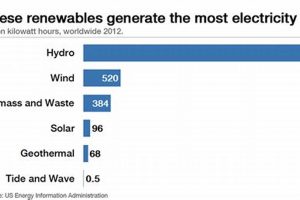 Top Most Commonly Used Renewable Energy Source: Is It Best? Renewable Energy Solutions for a Sustainable Future | Clean & Green Power Top Most Commonly Used Renewable Energy Source: Is It Best? | Renewable Energy Solutions for a Sustainable Future | Clean & Green Power