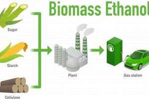 Is Biofuel Truly Renewable Energy? The Facts Renewable Energy Solutions for a Sustainable Future | Clean & Green Power Is Biofuel Truly Renewable Energy? The Facts | Renewable Energy Solutions for a Sustainable Future | Clean & Green Power