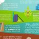 Guide to Renewable Energy Sources Infographic: Visuals & Data | Renewable Energy Solutions for a Sustainable Future | Clean & Green Power