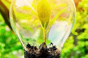 Predicting: Will Renewable Energy Stocks Go Up? Future Outlook Renewable Energy Solutions for a Sustainable Future | Clean & Green Power Predicting: Will Renewable Energy Stocks Go Up? Future Outlook | Renewable Energy Solutions for a Sustainable Future | Clean & Green Power