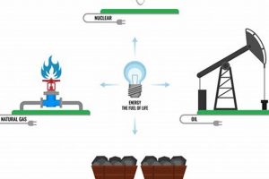 Exploring 4 Main Types of Non-Renewable Energy Sources Renewable Energy Solutions for a Sustainable Future | Clean & Green Power Exploring 4 Main Types of Non-Renewable Energy Sources | Renewable Energy Solutions for a Sustainable Future | Clean & Green Power