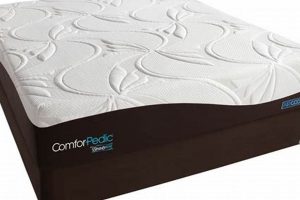 Best Beautyrest ComforPedic Renewed Energy Plush Firm Mattress Renewable Energy Solutions for a Sustainable Future | Clean & Green Power Best Beautyrest ComforPedic Renewed Energy Plush Firm Mattress | Renewable Energy Solutions for a Sustainable Future | Clean & Green Power