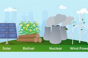 Exploring What is Renewable Natural Resources? + Examples Renewable Energy Solutions for a Sustainable Future | Clean & Green Power Exploring What is Renewable Natural Resources? + Examples | Renewable Energy Solutions for a Sustainable Future | Clean & Green Power