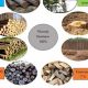 Is Burning Wood *Really* a Renewable Energy Source? Guide | Renewable Energy Solutions for a Sustainable Future | Clean & Green Power