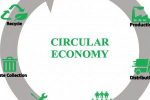 The Future of Power: Circular Economy Renewable Energy Renewable Energy Solutions for a Sustainable Future | Clean & Green Power The Future of Power: Circular Economy Renewable Energy | Renewable Energy Solutions for a Sustainable Future | Clean & Green Power