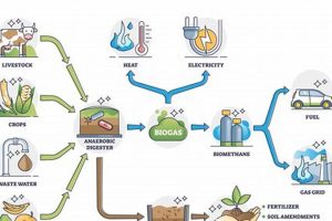 Harnessing Biogas: Renewable Energy Fuel | Safem Fabrication - Precision Engineering & Custom Manufacturing Solutions