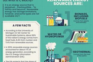 Get Vital Green Energy Information & Stats Renewable Energy Solutions for a Sustainable Future | Clean & Green Power Get Vital Green Energy Information & Stats | Renewable Energy Solutions for a Sustainable Future | Clean & Green Power