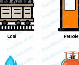 Top 5 Energy Sources Beyond Fossil Fuels Renewable Energy Solutions for a Sustainable Future | Clean & Green Power Top 5 Energy Sources Beyond Fossil Fuels | Renewable Energy Solutions for a Sustainable Future | Clean & Green Power