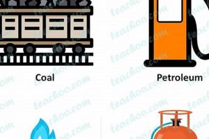 Top 5 Energy Sources Beyond Fossil Fuels Renewable Energy Solutions for a Sustainable Future | Clean & Green Power Top 5 Energy Sources Beyond Fossil Fuels | Renewable Energy Solutions for a Sustainable Future | Clean & Green Power