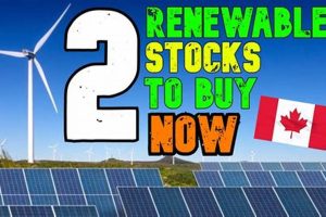 Top Renewable Energy Stocks to Buy Now: [Year] Guide | Renewable Energy Solutions for a Sustainable Future | Clean & Green Power