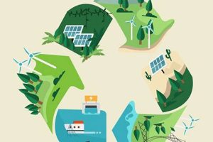 Best Renewable Energy Project Financing Options Renewable Energy Solutions for a Sustainable Future | Clean & Green Power Best Renewable Energy Project Financing Options | Renewable Energy Solutions for a Sustainable Future | Clean & Green Power