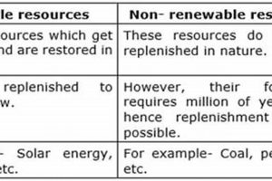 Renewable vs. Nonrenewable Energy: Key Differences Renewable Energy Solutions for a Sustainable Future | Clean & Green Power Renewable vs. Nonrenewable Energy: Key Differences | Renewable Energy Solutions for a Sustainable Future | Clean & Green Power