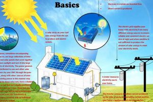 Solar Energy Renewable Facts: Powering a Greener Future Renewable Energy Solutions for a Sustainable Future | Clean & Green Power Solar Energy Renewable Facts: Powering a Greener Future | Renewable Energy Solutions for a Sustainable Future | Clean & Green Power