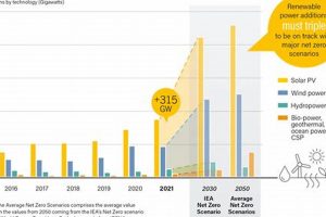 Best Current Renewable Energy Options Today Renewable Energy Solutions for a Sustainable Future | Clean & Green Power Best Current Renewable Energy Options Today | Renewable Energy Solutions for a Sustainable Future | Clean & Green Power