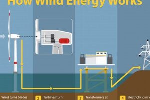 Harnessing Wind: Why Wind is a Renewable Energy Source Today! Renewable Energy Solutions for a Sustainable Future | Clean & Green Power Harnessing Wind: Why Wind is a Renewable Energy Source Today! | Renewable Energy Solutions for a Sustainable Future | Clean & Green Power