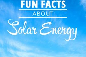 Top 10 Renewable Energy Facts You Must Know Renewable Energy Solutions for a Sustainable Future | Clean & Green Power Top 10 Renewable Energy Facts You Must Know | Renewable Energy Solutions for a Sustainable Future | Clean & Green Power