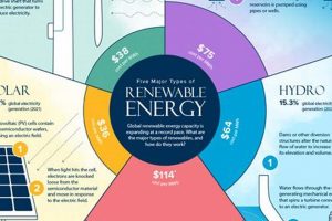 Exploring Every Type of Renewable Energy Source Renewable Energy Solutions for a Sustainable Future | Clean & Green Power Exploring Every Type of Renewable Energy Source | Renewable Energy Solutions for a Sustainable Future | Clean & Green Power