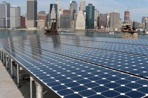 Top NYC Renewable Energy Companies: Find Green Power Now Renewable Energy Solutions for a Sustainable Future | Clean & Green Power Top NYC Renewable Energy Companies: Find Green Power Now | Renewable Energy Solutions for a Sustainable Future | Clean & Green Power