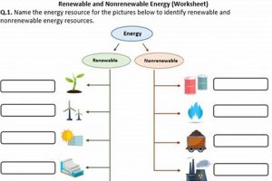 Free Renewable & Nonrenewable Energy Worksheets Renewable Energy Solutions for a Sustainable Future | Clean & Green Power Free Renewable & Nonrenewable Energy Worksheets | Renewable Energy Solutions for a Sustainable Future | Clean & Green Power