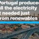 Portugal's Renewable Energy Revolution: A Case Study | Renewable Energy Solutions for a Sustainable Future | Clean & Green Power