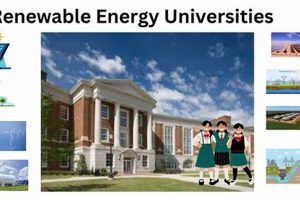 Top Global Renewable Energy Universities 2024 Renewable Energy Solutions for a Sustainable Future | Clean & Green Power Top Global Renewable Energy Universities 2024 | Renewable Energy Solutions for a Sustainable Future | Clean & Green Power