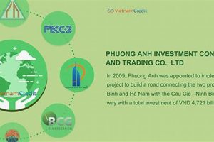 Top Renewable Energy Companies in Vietnam [Guide] | Renewable Energy Solutions for a Sustainable Future | Clean & Green Power