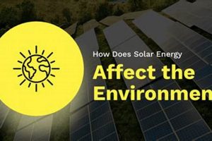 How Does Renewable Energy Affect Businesses Renewable Energy Solutions for a Sustainable Future | Clean & Green Power How Does Renewable Energy Affect Businesses | Renewable Energy Solutions for a Sustainable Future | Clean & Green Power