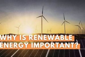 Earth's Future: Why Renewable Energy Sources Matter [Explained] | Renewable Energy Solutions for a Sustainable Future | Clean & Green Power
