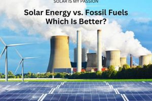 Fossil Fuels vs. Renewables: Pros, Cons & Future Renewable Energy Solutions for a Sustainable Future | Clean & Green Power Fossil Fuels vs. Renewables: Pros, Cons & Future | Renewable Energy Solutions for a Sustainable Future | Clean & Green Power