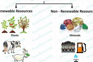 Why Renewability of Natural Resources Matters+ Renewable Energy Solutions for a Sustainable Future | Clean & Green Power Why Renewability of Natural Resources Matters+ | Renewable Energy Solutions for a Sustainable Future | Clean & Green Power