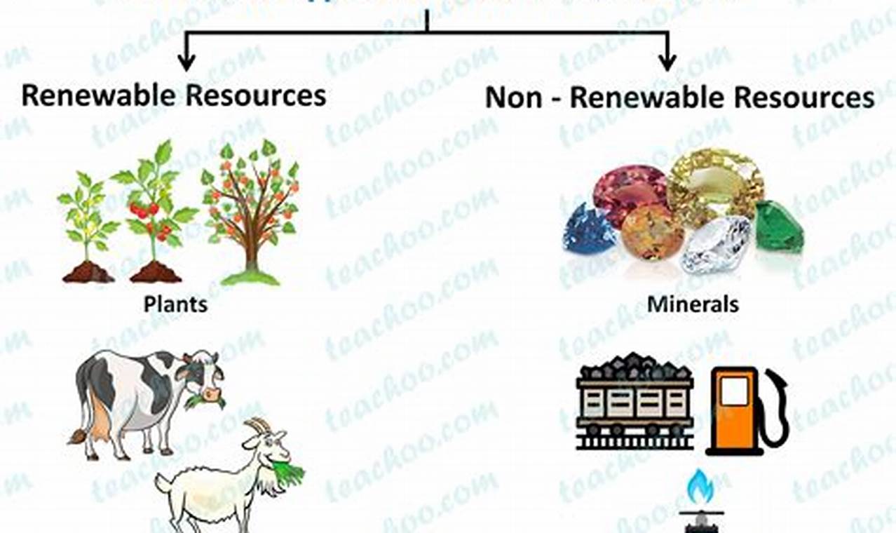 Why Renewability of Natural Resources Matters+