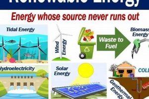 What Are Alternatives To Fossil Fuels Renewable Energy Solutions for a Sustainable Future | Clean & Green Power What Are Alternatives To Fossil Fuels | Renewable Energy Solutions for a Sustainable Future | Clean & Green Power