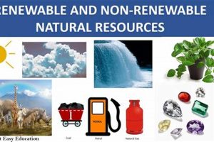Why Non-Renewables? Understanding Non Examples of Renewable Resources Today Renewable Energy Solutions for a Sustainable Future | Clean & Green Power Why Non-Renewables? Understanding Non Examples of Renewable Resources Today | Renewable Energy Solutions for a Sustainable Future | Clean & Green Power
