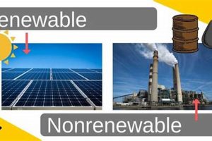 Top 7 Reasons: Renewable Energy vs. Fossil Fuels Renewable Energy Solutions for a Sustainable Future | Clean & Green Power Top 7 Reasons: Renewable Energy vs. Fossil Fuels | Renewable Energy Solutions for a Sustainable Future | Clean & Green Power