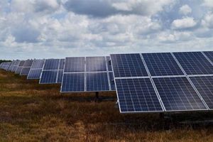 Renewable Energy Companies In Florida Renewable Energy Solutions for a Sustainable Future | Clean & Green Power Renewable Energy Companies In Florida | Renewable Energy Solutions for a Sustainable Future | Clean & Green Power