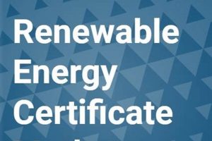 Guide to Renewable Energy Certificate Market Trends Renewable Energy Solutions for a Sustainable Future | Clean & Green Power Guide to Renewable Energy Certificate Market Trends | Renewable Energy Solutions for a Sustainable Future | Clean & Green Power