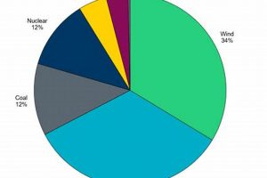 Texas Renewable Energy: How Much Power? Renewable Energy Solutions for a Sustainable Future | Clean & Green Power Texas Renewable Energy: How Much Power? | Renewable Energy Solutions for a Sustainable Future | Clean & Green Power