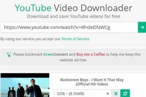 Become a Green Convert: Eco Tips & Guide Renewable Energy Solutions for a Sustainable Future | Clean & Green Power Become a Green Convert: Eco Tips & Guide | Renewable Energy Solutions for a Sustainable Future | Clean & Green Power