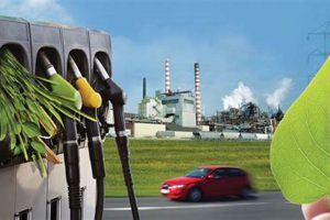 Bioenergy Renewable Energy Renewable Energy Solutions for a Sustainable Future | Clean & Green Power Bioenergy Renewable Energy | Renewable Energy Solutions for a Sustainable Future | Clean & Green Power