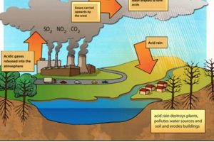 Non-Renewable Energy's Environmental Impact: A Deep Dive Renewable Energy Solutions for a Sustainable Future | Clean & Green Power Non-Renewable Energy's Environmental Impact: A Deep Dive | Renewable Energy Solutions for a Sustainable Future | Clean & Green Power