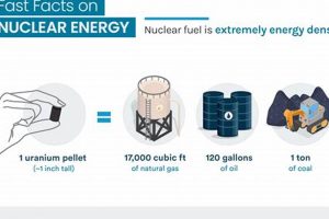 Renewable? Is Nuclear Fission a Sustainable Energy Source? Renewable Energy Solutions for a Sustainable Future | Clean & Green Power Renewable? Is Nuclear Fission a Sustainable Energy Source? | Renewable Energy Solutions for a Sustainable Future | Clean & Green Power