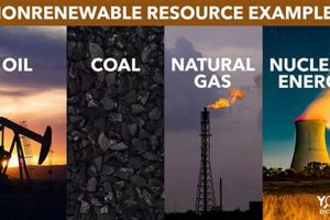 Top Renewable & Nonrenewable Energy Sources Explained Renewable Energy Solutions for a Sustainable Future | Clean & Green Power Top Renewable & Nonrenewable Energy Sources Explained | Renewable Energy Solutions for a Sustainable Future | Clean & Green Power