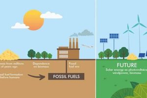 Renewable Energy: Combating Climate Change Effectively Renewable Energy Solutions for a Sustainable Future | Clean & Green Power Renewable Energy: Combating Climate Change Effectively | Renewable Energy Solutions for a Sustainable Future | Clean & Green Power