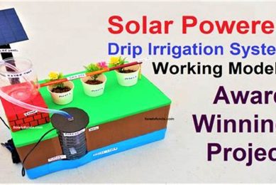 Top 5 Renewable Energy Science Project Ideas Renewable Energy Solutions for a Sustainable Future | Clean & Green Power Top 5 Renewable Energy Science Project Ideas | Renewable Energy Solutions for a Sustainable Future | Clean & Green Power