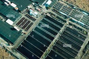Best Natural Energy Lab Innovations & Tech Renewable Energy Solutions for a Sustainable Future | Clean & Green Power Best Natural Energy Lab Innovations & Tech | Renewable Energy Solutions for a Sustainable Future | Clean & Green Power